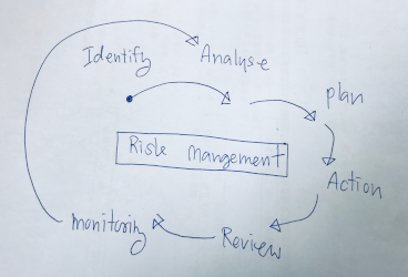 Risk Management Services